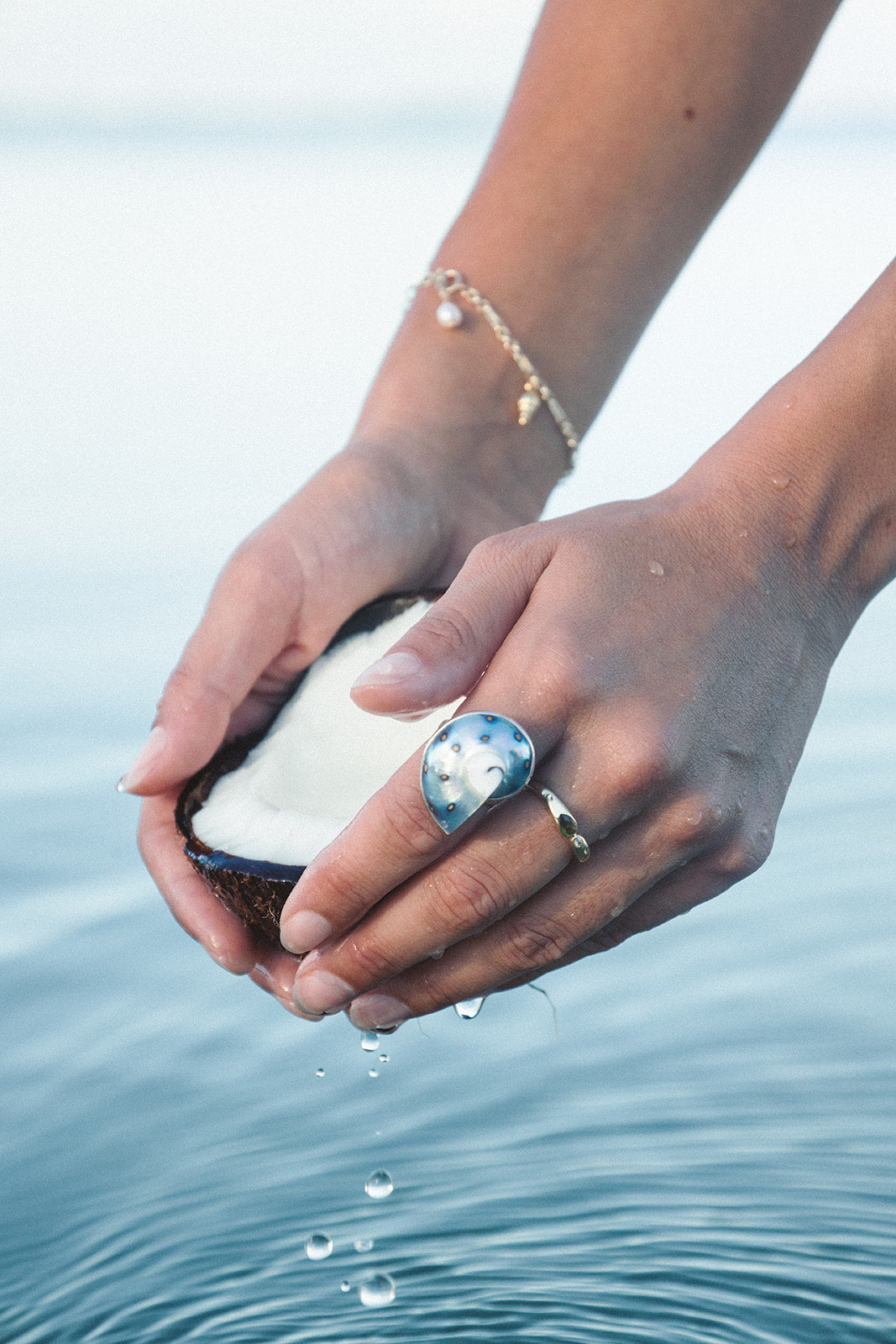 Atlantis Ring | Nautilus ring