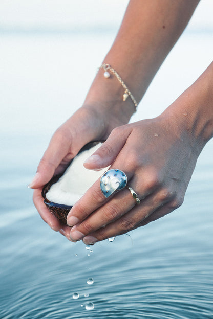 Atlantis Ring | Nautilus ring