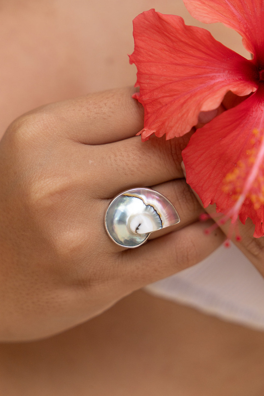 Atlantis Ring | Nautilus ring