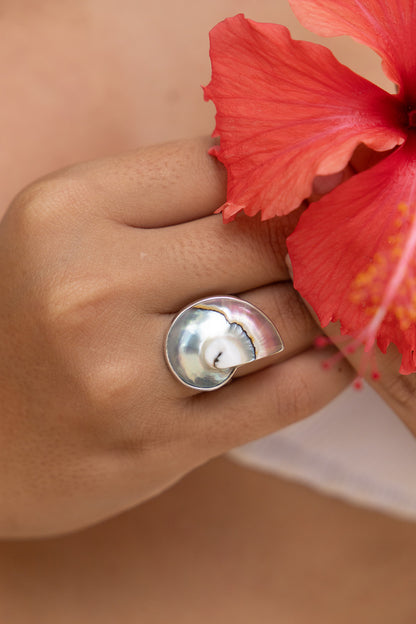 Atlantis Ring | Nautilus ring