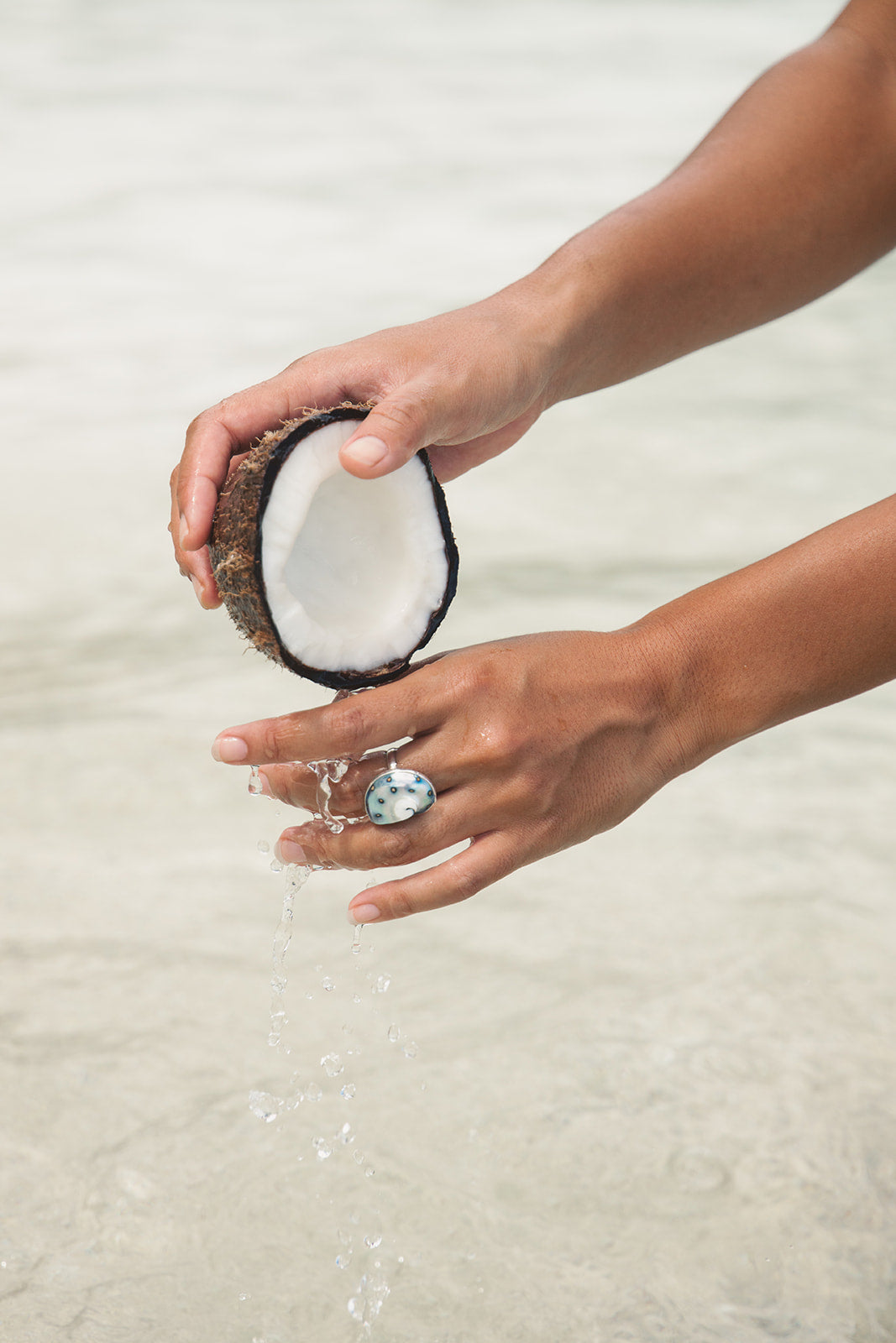 Atlantis Ring | Nautilus ring