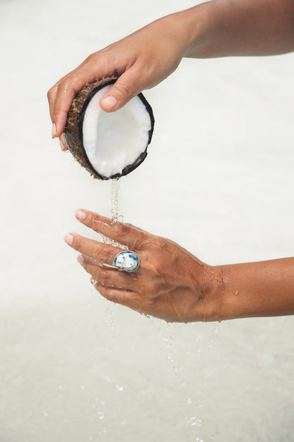 Atlantis Ring | Nautilus ring